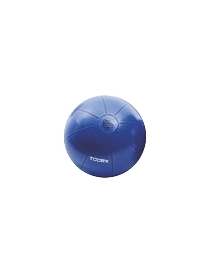 Gym Ball Pro Toorx AHF 147 55 cm CombatArena Combat Arena