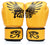 Thai boxing gloves Fairtex BGV1 Falcon Golden