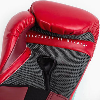 Guantoni Everlast Elite Pro Style-Combat Arena