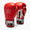 Boxing gloves Leone Iconic GN208