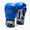 Boxing gloves Leone Iconic GN208