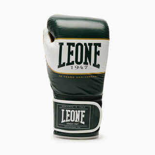 Boxing gloves Leone Shock X GN047X