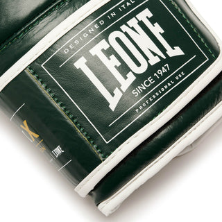 Boxing gloves Leone Shock X GN047X