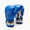 Kids boxing gloves Leone Iconic 6 Oz GN408J