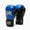 Kids boxing gloves Leone Thunder GN383J