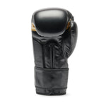 Boxing gloves Leone Iuter GN01IU