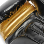 Boxing gloves Leone Iuter GN01IU