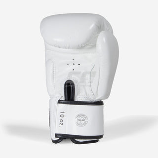 Thai boxing gloves Fairtex BGV19 Deluxe White