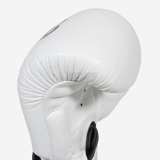 Thai boxing gloves Fairtex BGV19 Deluxe White