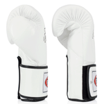 Thai boxing gloves Fairtex BGV5 Super Sparring White