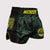 Kick-thai shorts Wicked One Havoc 