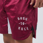 Shorts No-Gi Kingz Born to Rule